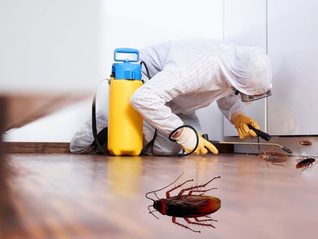 Cockroach Pest Control Services