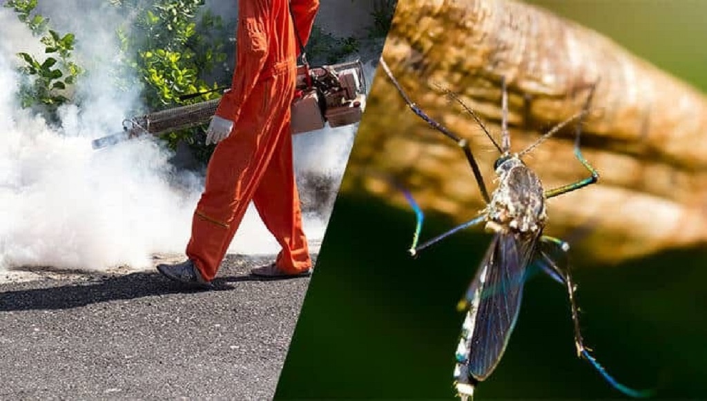 Mosquito Pest Control Services