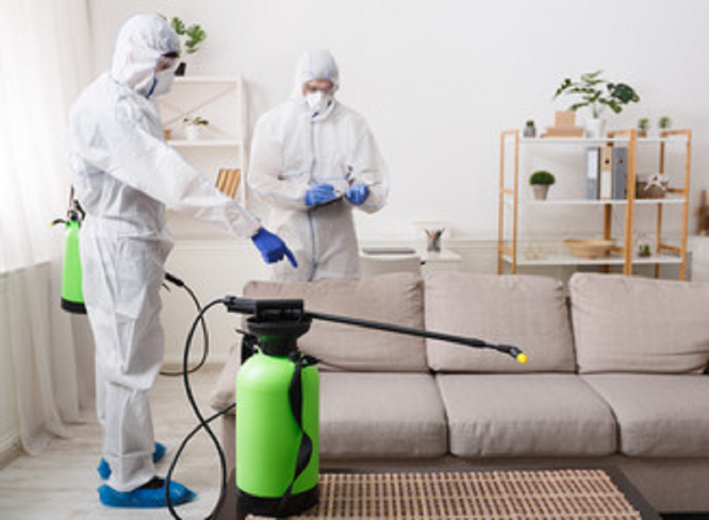 FIT Pest Control Services in Gurgaon