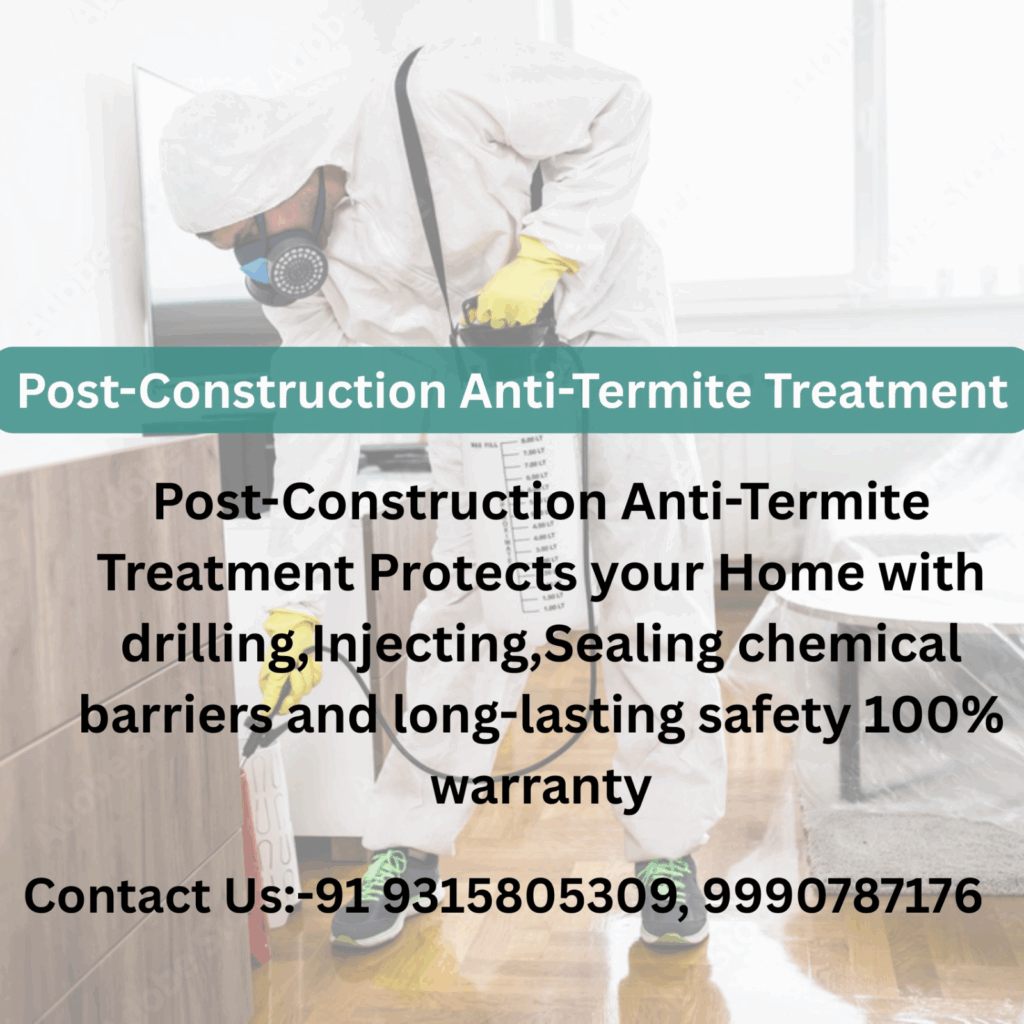Post-Construction Anti-Termite Treatment