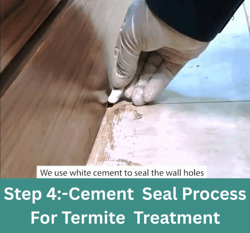 Step-4 White Cement Seal Process For Termite Treatment Services