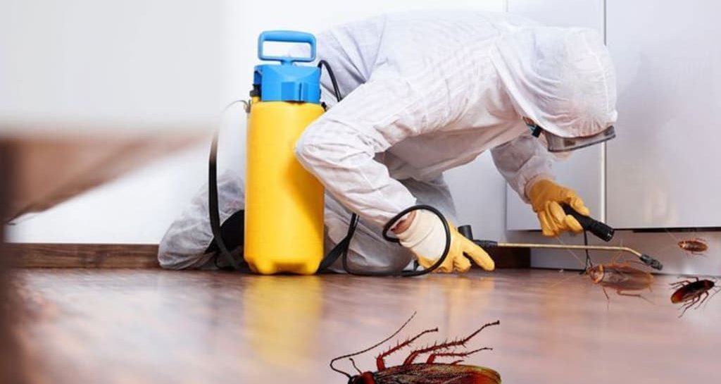 Cockroach Pest Control Services