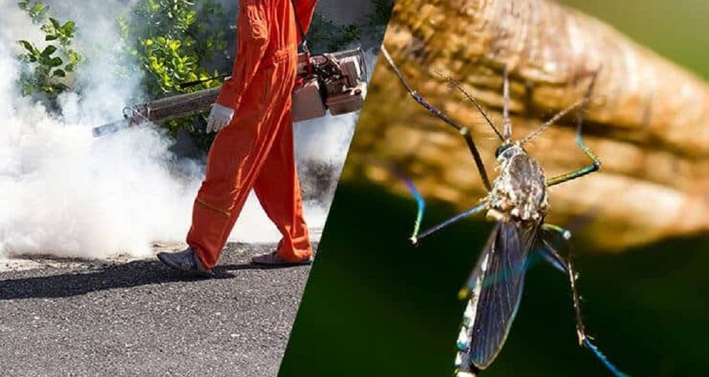 Mosquito Pest Control Services