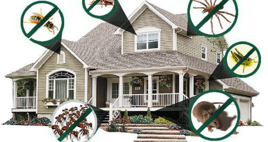 Residential Pest Control Services