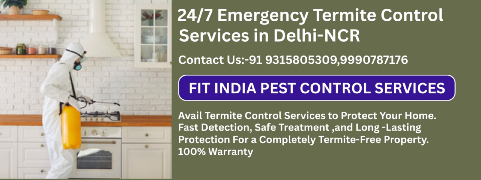 Termite Control Services Gurgaon